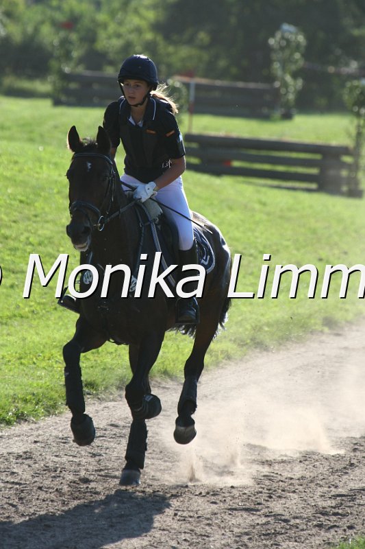 109M8002_Ricarda III_Stilgelaende A.JPG